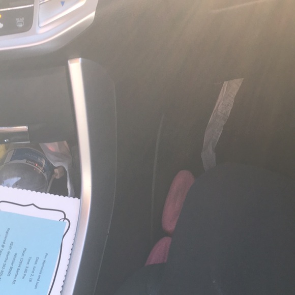 Meet your Posher, Ruby - Picture 1 of 1